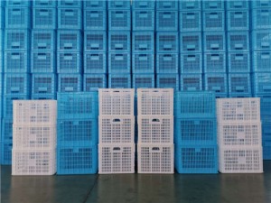 山東（dōng）塑料筐